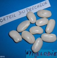 D'Espagne orteils du precheur.jpg