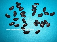 DOLIQUE Taïwan black.jpg