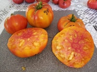 Domaine st jean de beauregard.jpg