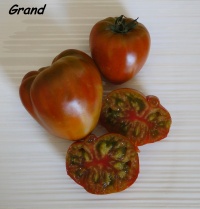 Everett's rusty oxheart-1.jpg