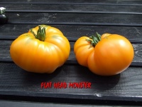 Flat head monster.jpg