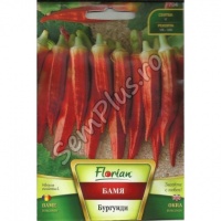 Gombo red burgundy.jpg