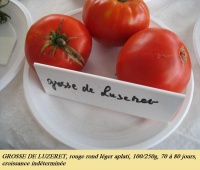 Grosse de Luzeret-1.jpg