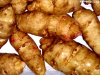 Hélianthi (helianthus strumosus)-1.jpg