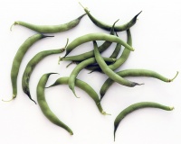 HARICOT FILET anellino di trento.jpg