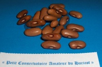 HARICOT MANGETOUT saint fiacre.jpg