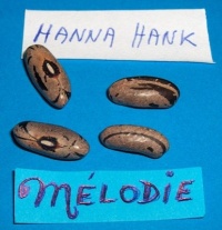 Hanna Hank-1.jpg