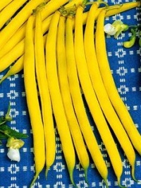 Haricot Gondola-1.jpg