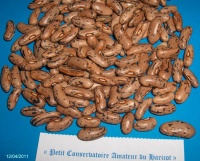 Haricot La Vigneronne.jpg