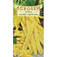 Haricot Supernano Giallo.jpg