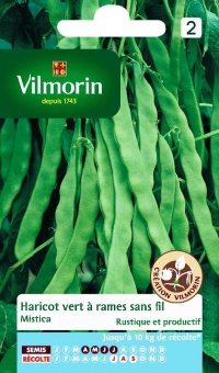 Haricot mistica-1.jpg