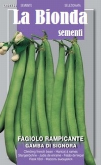 Jambes de dames-1.jpg