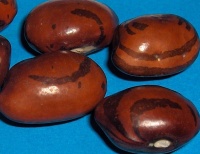 Kahnawake Mohawk-1.jpg