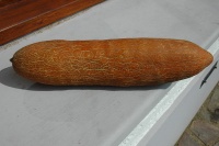 Long vert bedfortshire.jpg