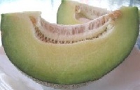 MELON aubin-2.jpg