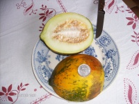 MELON collective farm woman-1.jpg