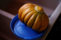 MELON noir des carmes-2.jpg