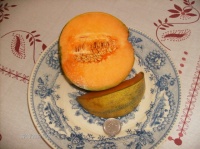 MELON petit gris de rennes-1.jpg