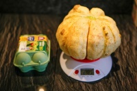 MELON prescott fond blanc-1.jpg