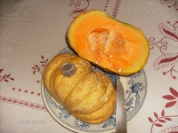 MELON prescott hâtif-2.jpg