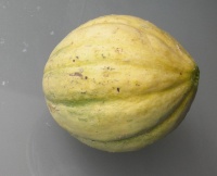 MELON vieille france.jpg