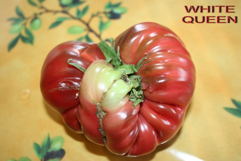 Fichier:Margaret Curtain-1.jpg