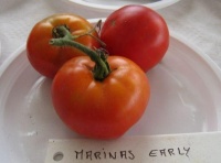 Marina's early-1.jpg