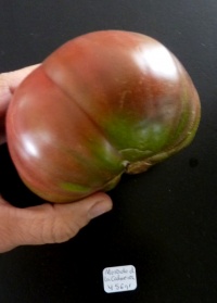 Morado de la Cabrera-1.jpg