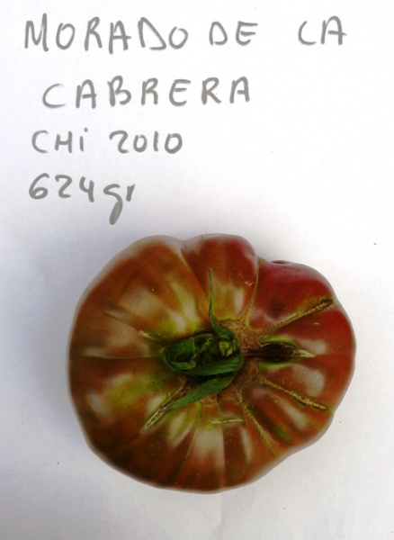 Fichier:Morado de la Cabrera.jpg