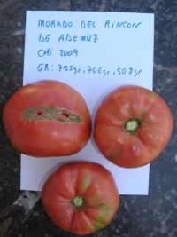 Morado del Rincon de Ademuz.jpg