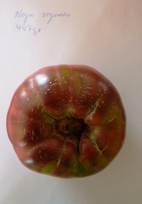 Negro segureño-1.jpg