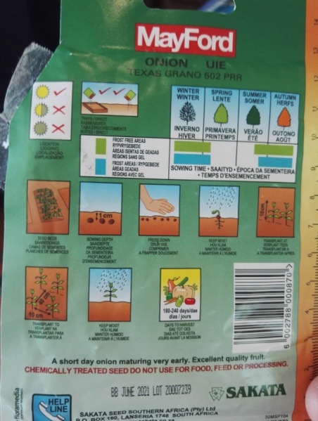 Fichier:OIGNON Texas Grano 502 PRR-1.jpg