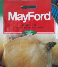 OIGNON Texas Grano 502 PRR.jpg