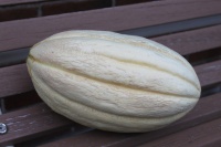 Old time Tennessee.jpg