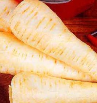 PANAIS white gem.jpg