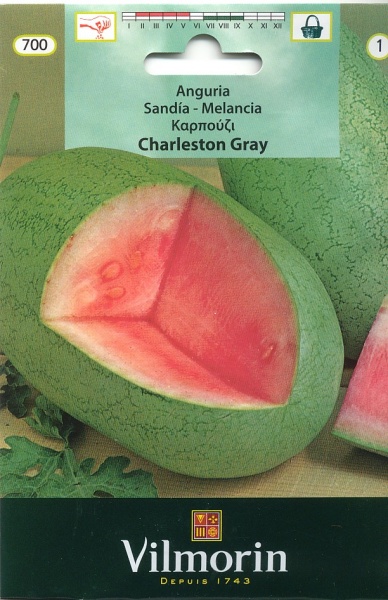Fichier:PASTEQUE charleston gray.jpg