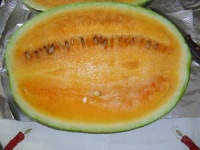 PASTEQUE orangeglo-2.jpg