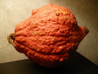 POTIRON golden hubbard.jpg