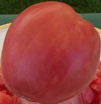 Painted ukranian-1.jpg