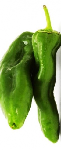 Piment gernika-1.jpg