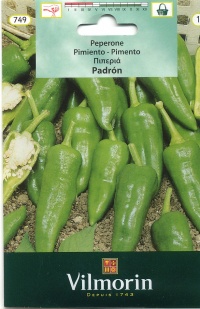 Piment padron.jpg