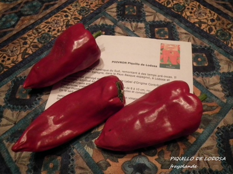 Fichier:Piment piquillo-1.jpg