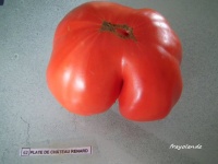 Plate de Châteaurenard.jpg