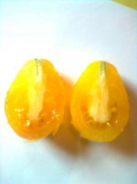 Poire Lumiére Merveilleuse-2.jpg