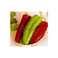 Poivron Alexandru-1.jpg