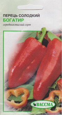Poivron Bogatir.jpg