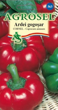 Poivron Gogoshary Cornel.jpg