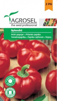Poivron Splendid.jpg