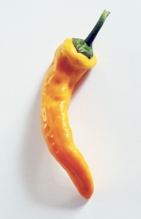 Poivron d’Antibes.jpg