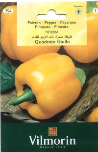 Poivron quadrato d asti giallo.jpg